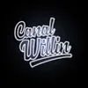 Avatar canal_willin