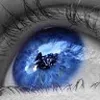 Avatar brunoduerre8150