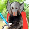 Avatar macacogrievous
