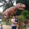 Avatar robsonvieira8946