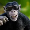 Avatar negoboy_250