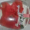 Avatar mariamelo3356