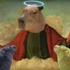 Avatar boris3