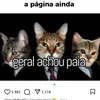 Avatar mxllo