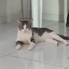 cacador23