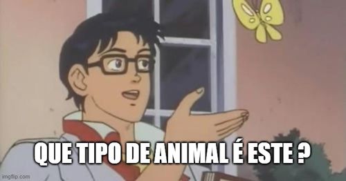 6quxbd.jpg