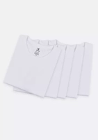 Kit Com 5 Camisetas Masculinas Básicas Hering 