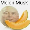 Avatar melonmusk