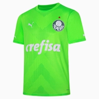 Camisa Palmeiras Goleiro Away Jogador 2023