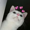 Avatar meow_meow