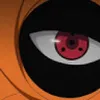 Avatar evorest