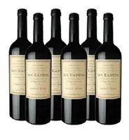 Dv Catena cabernet Malbec cx c/06 unidades