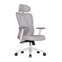 Cadeira Ergonômica Elements Samaia