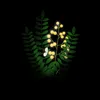Avatar symphony