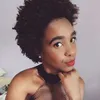 Avatar milele_cassia