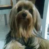 Avatar madba