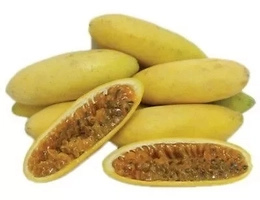 Fruta Maracuja Banana Passiflora Sementes Molissima Curuva