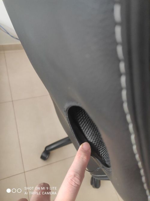 6966934.jpg