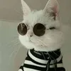 Avatar gatogaiato
