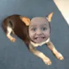 Avatar botodocupom6966