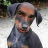 Avatar cazalbe