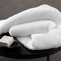 Kit 10 Toalhas de Banho Atacado Macia Direto de Fabrica Prata (Branco)