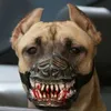 Avatar phenr1