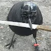 Avatar corvoattanobr