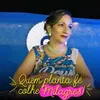 Avatar marlicereis