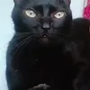 Avatar l4nc3l0t90