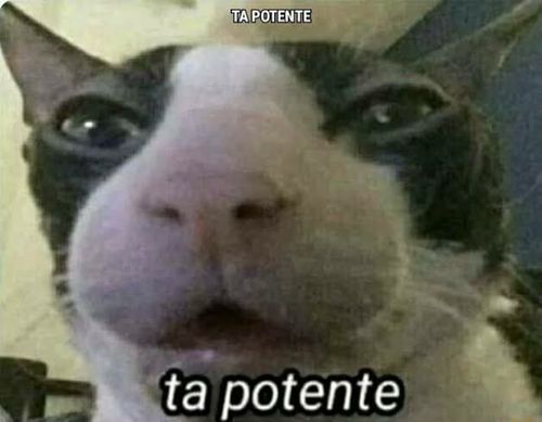6909122-uGfZL.jpg
