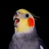 Avatar vk_dzk
