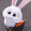 Avatar w_k