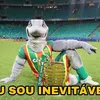 Avatar guilherme12244
