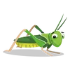 Avatar rossa