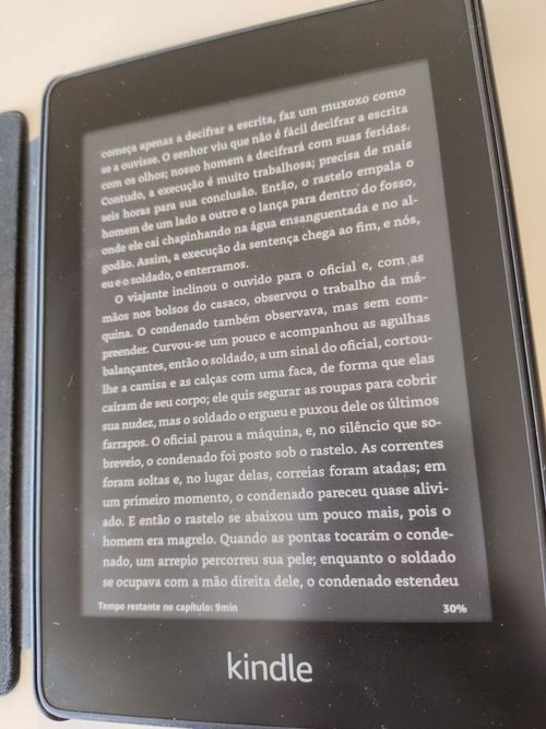 7308449.jpg