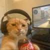 Avatar casuz