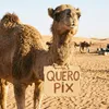 camelopix