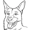 Avatar jogadorbr_