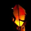 Avatar belon_doidon