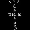 Avatar caiopileggi