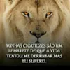 Avatar adilson_silva
