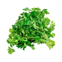 Cheiro Verde Mendonça Unidade