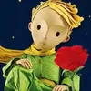 Avatar thalessouz4
