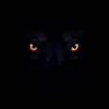 Avatar delfroid