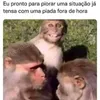 Avatar mamacoagiota