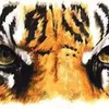 Avatar tigrao