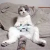 Avatar jotamudo_