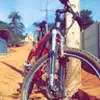 Avatar ribolive