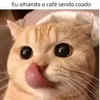 Avatar catlindo